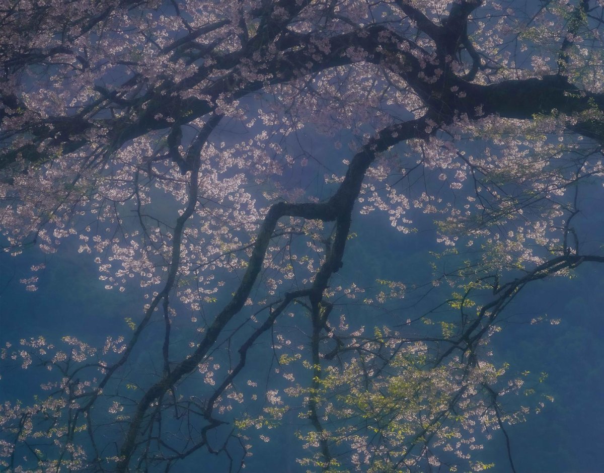 画像1: 井上嘉代子 【0604】 (1)